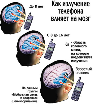 Влияние излучения телефонов на мозг